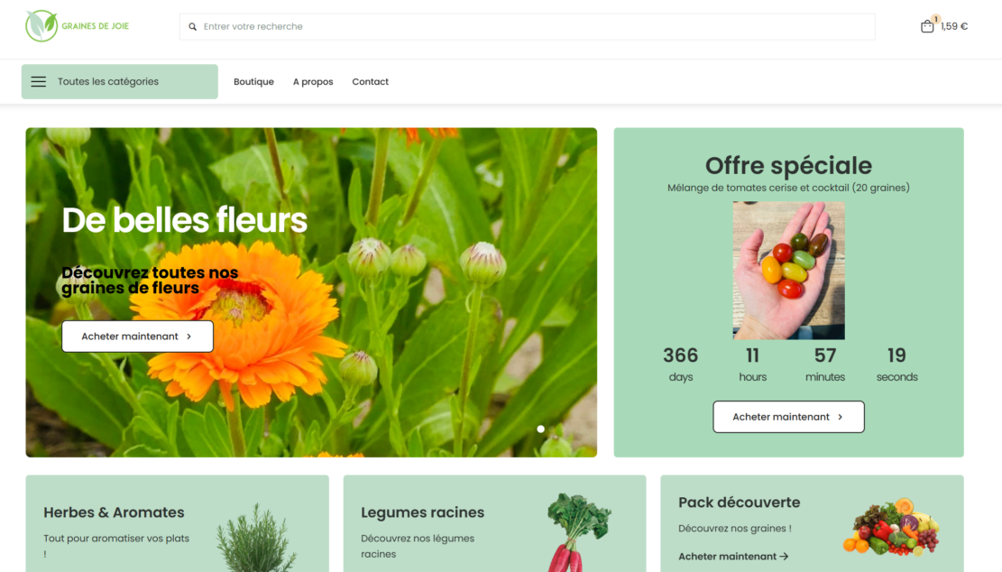 Capture d&rsquo;écran 2024-12-29 000244